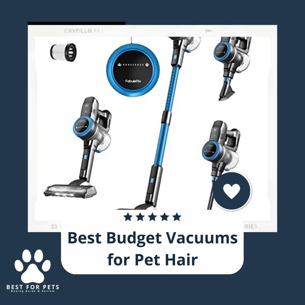 8I9vKOr8H-best-budget-vacuums-for-pet-hair