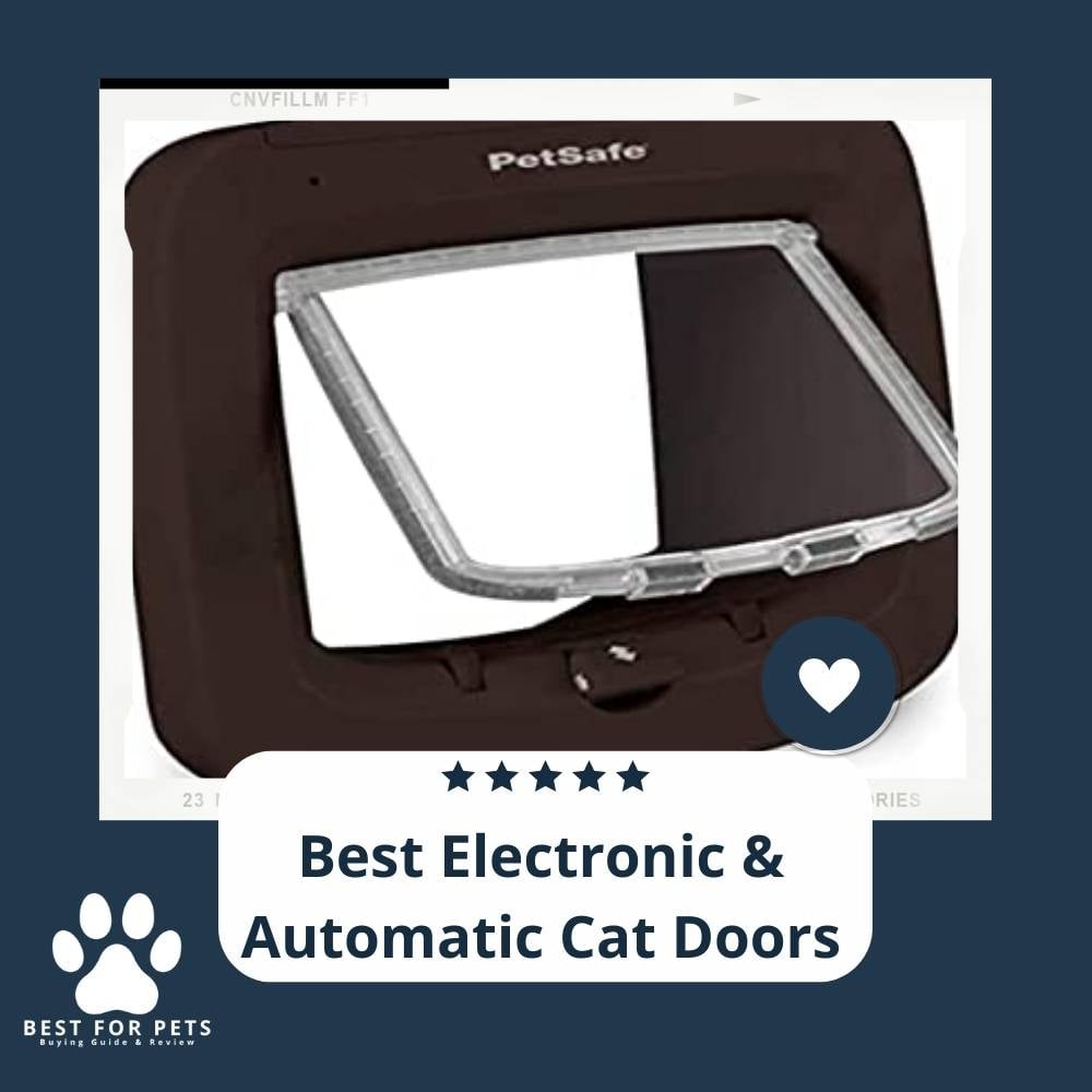 LCYefkjpy-best-electronic-and-automatic-cat-doors