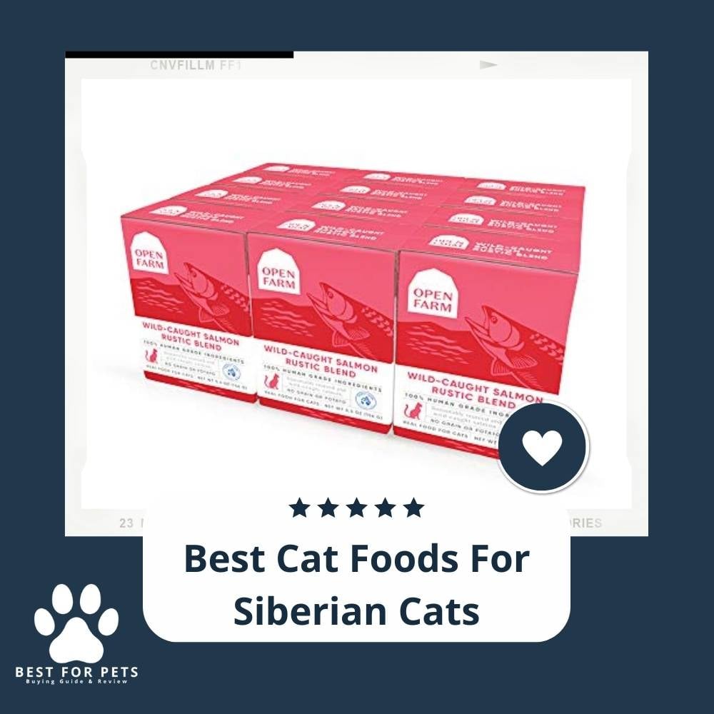 G1qfrb-IX-best-cat-foods-for-siberian-cats