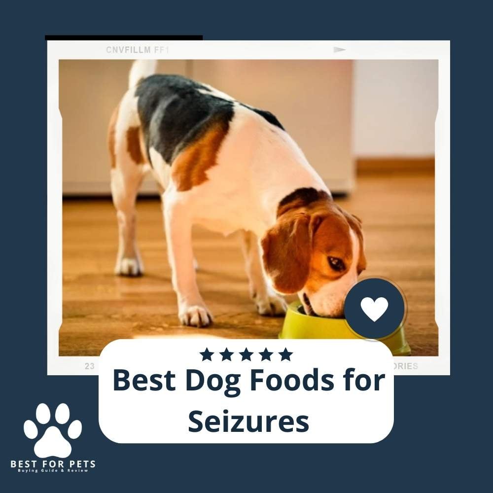 The 6 Best Dog Foods For Seizures - BestForPets.org