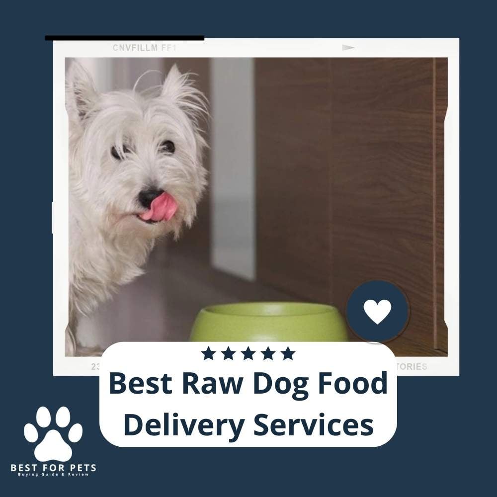 dsLspVBM9-best-raw-dog-food-delivery-services