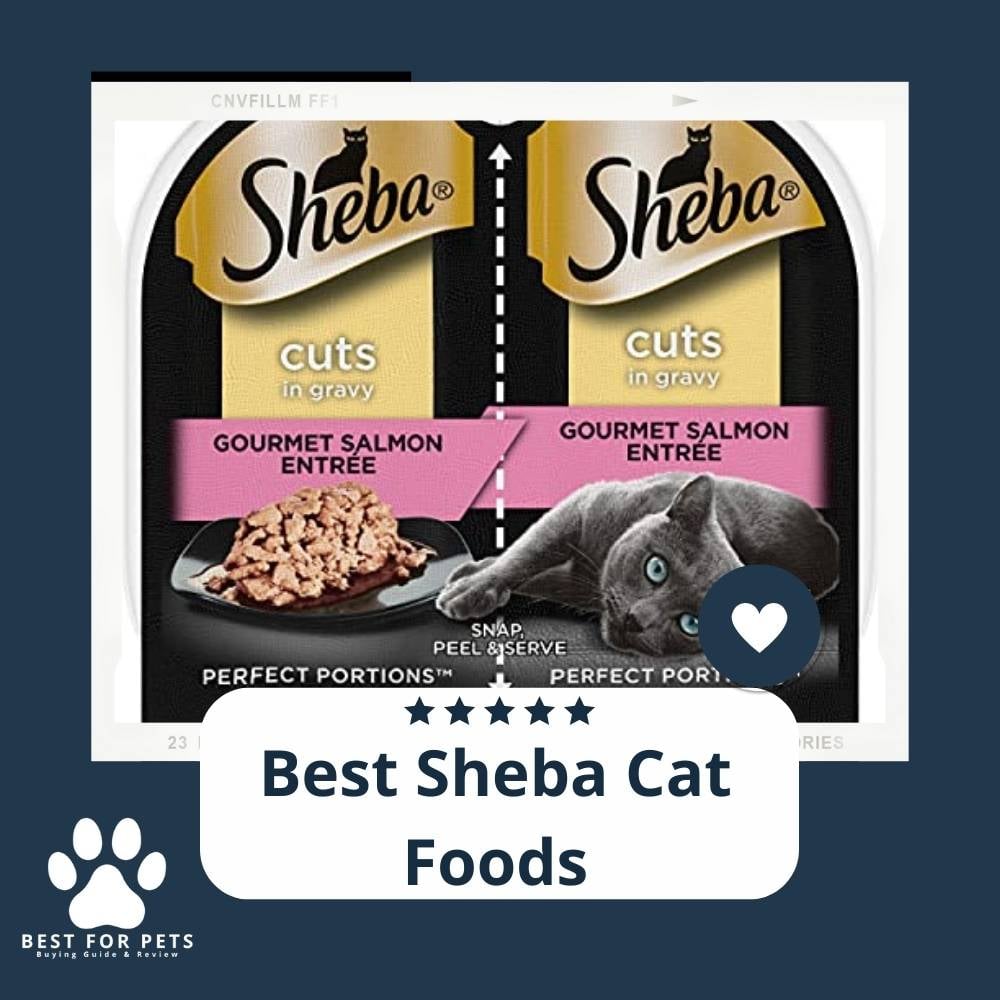 xEyyhzMjE-best-sheba-cat-foods