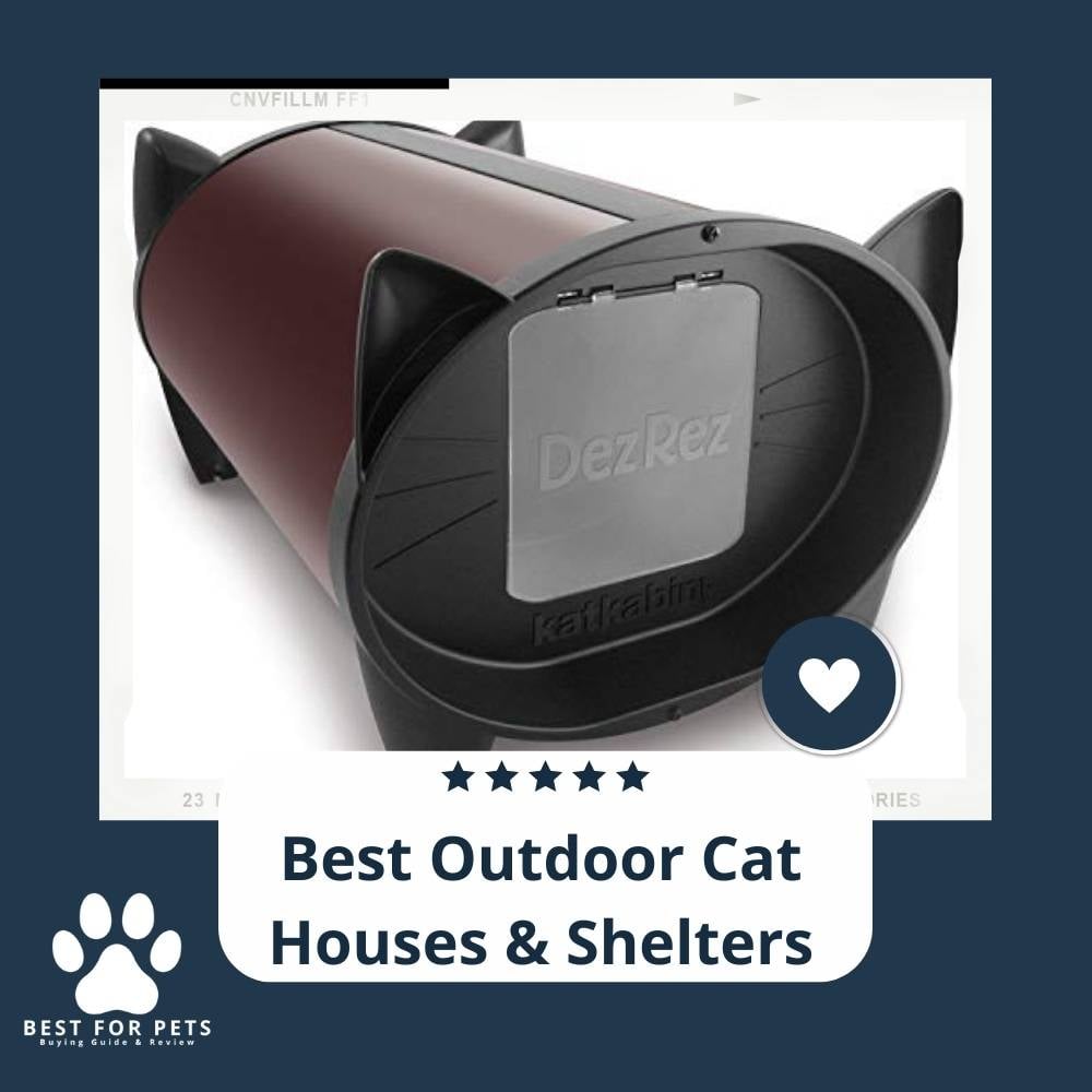 DdXqbyID-best-outdoor-cat-houses-and-shelters