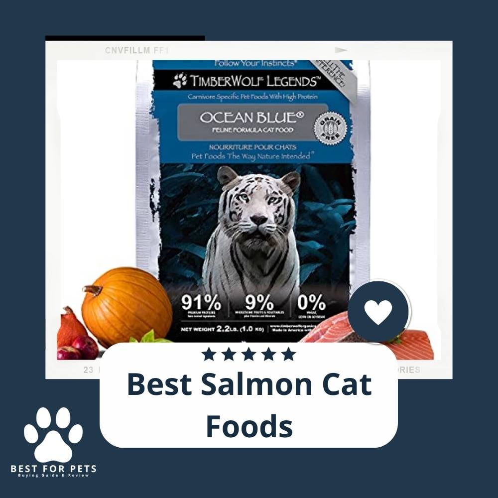 WnDjMwwXQ-best-salmon-cat-foods