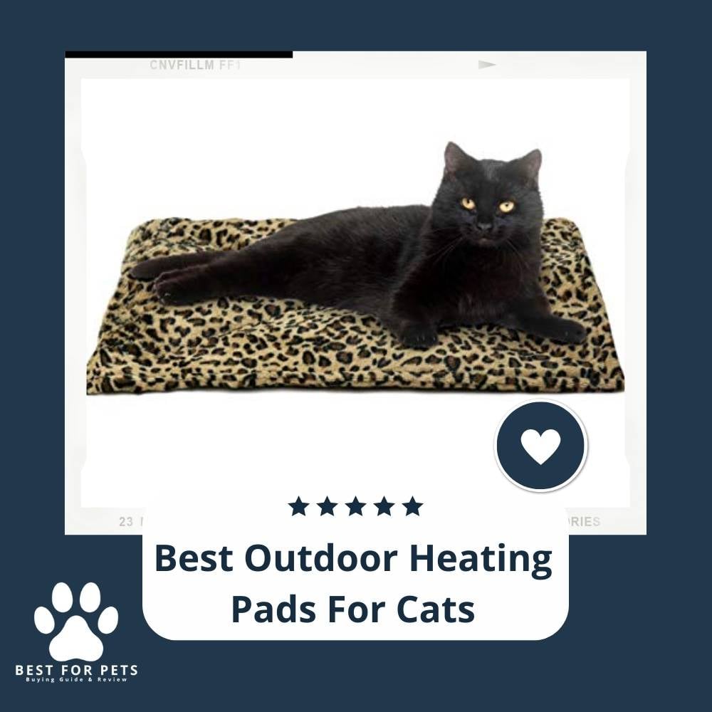 IsqCaXp8q-best-outdoor-heating-pads-for-cats