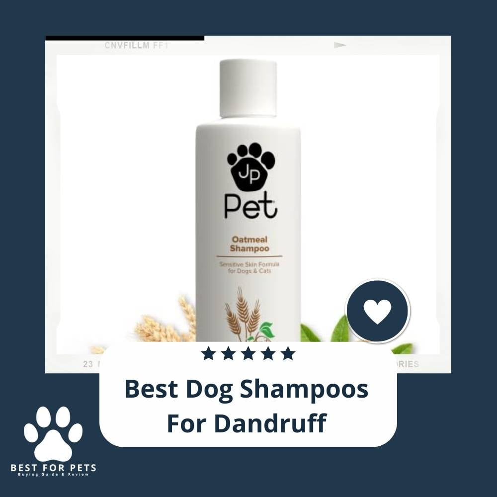OynjiHHaZ-best-dog-shampoos-for-dandruff