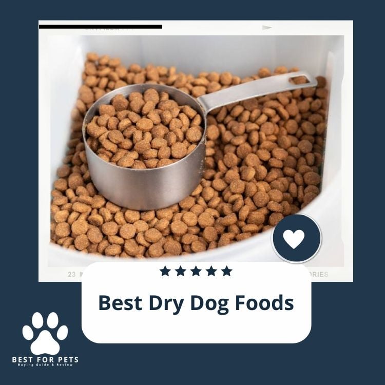Best Dry Dog Foods