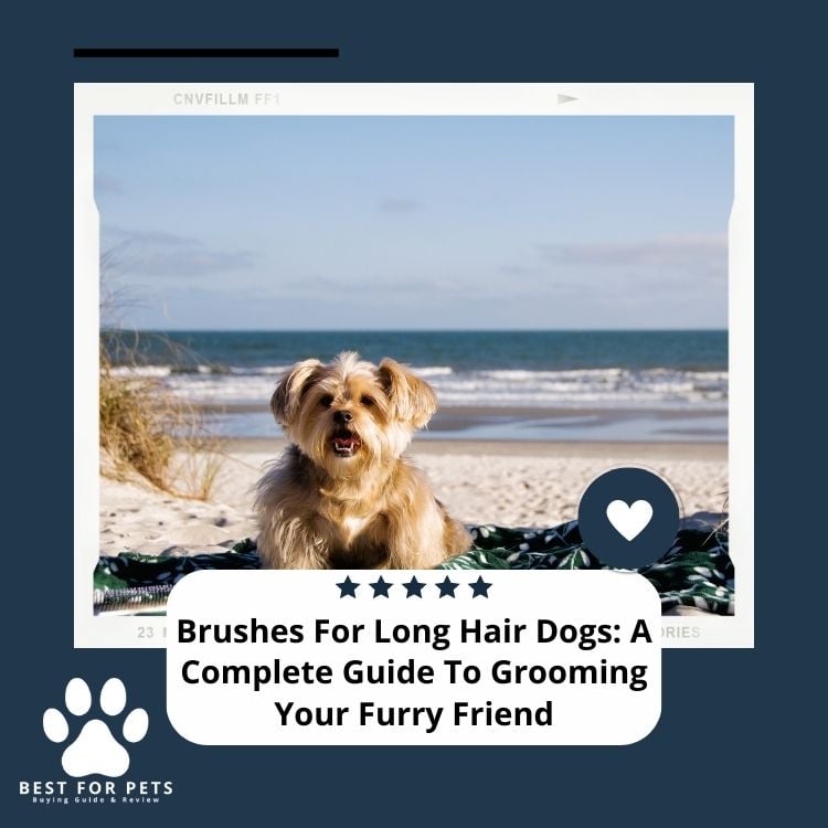 Brushes For Long Hair Dogs A Complete Guide To Grooming Your Furry Friend