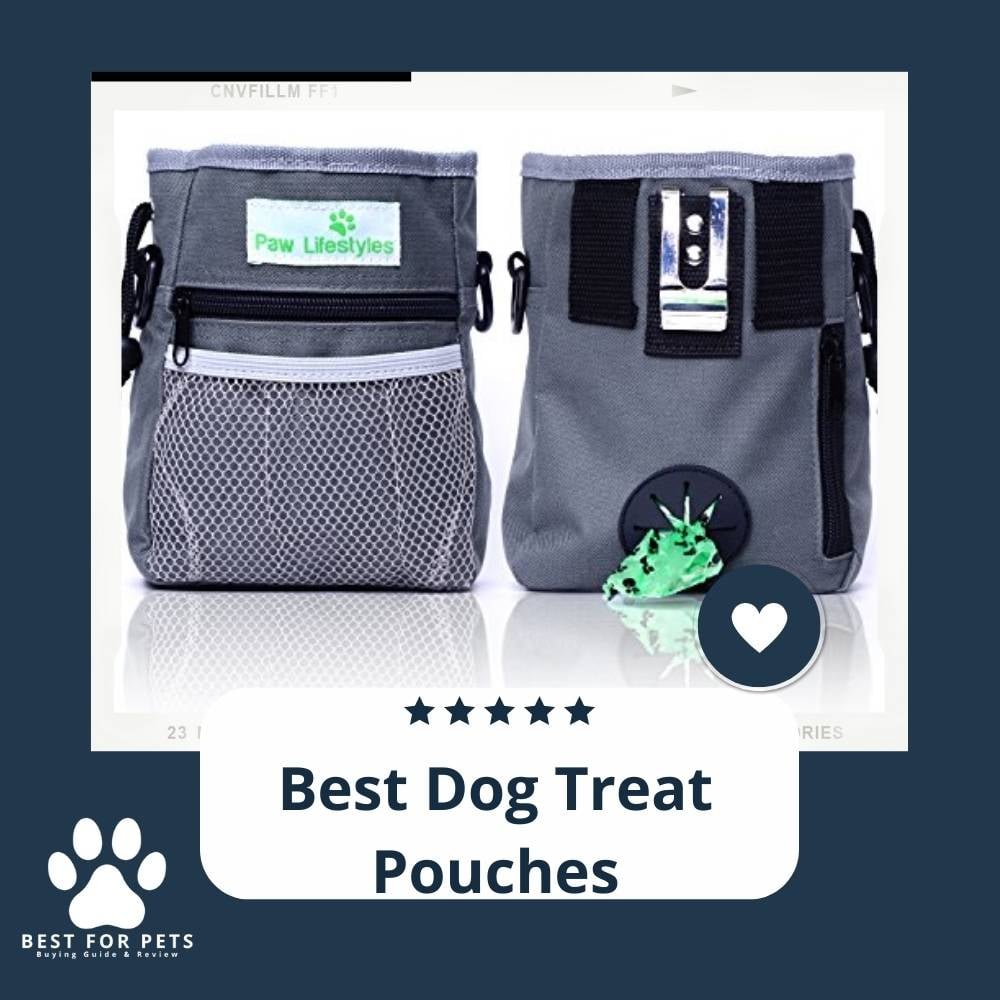 46Qf0Huoj-best-dog-treat-pouches