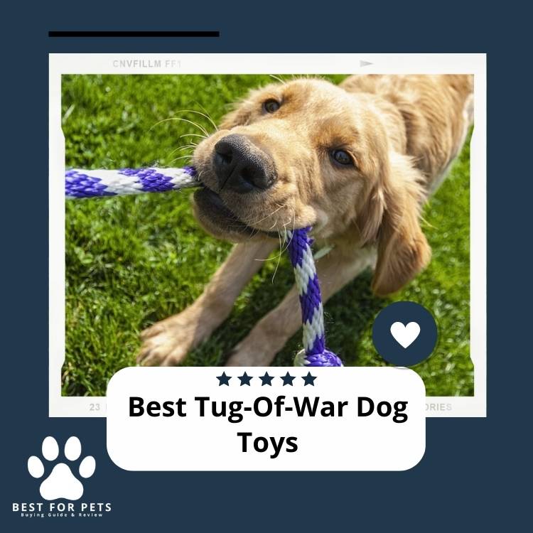 Best-Tug-Of-War-Dog-Toys