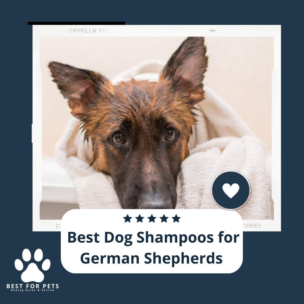 ne9D442f8-best-dog-shampoos-for-german-shepherds