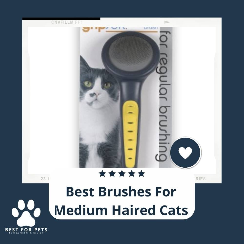 V4zfhI4mH-best-brushes-for-medium-haired-cats
