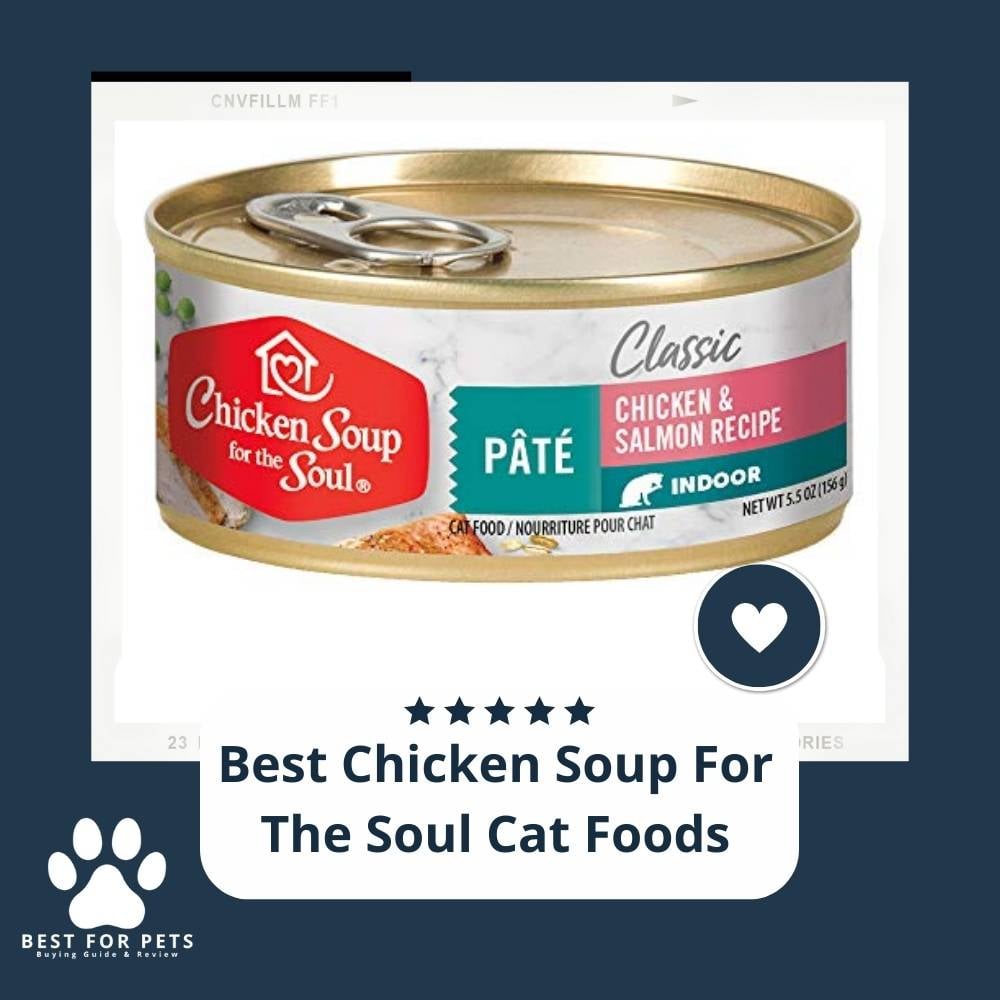 21ZnWOZbh-best-chicken-soup-for-the-soul-cat-foods