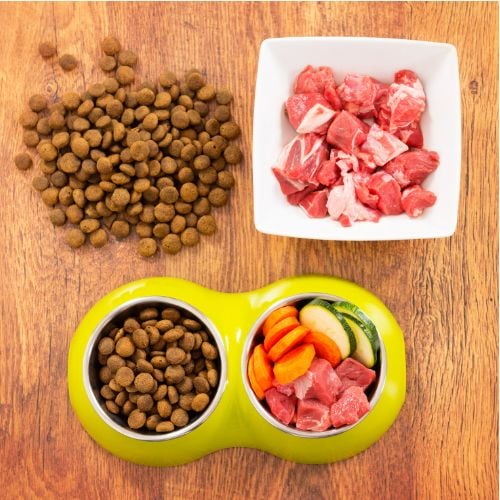The Nutritional Needs of Small Dogs