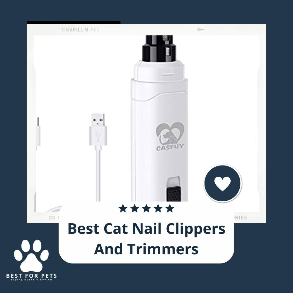ofqYUy2jr-best-cat-nail-clippers-and-trimmers