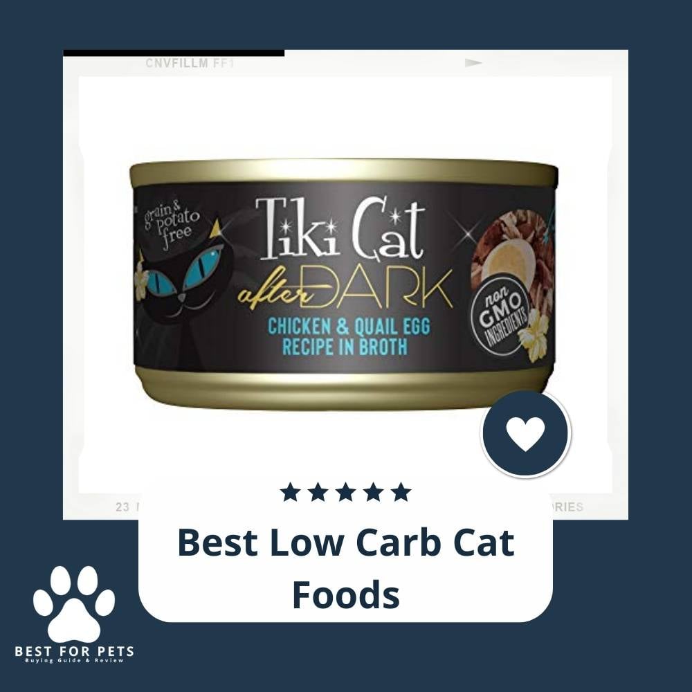9ybGK6PuH-best-low-carb-cat-foods
