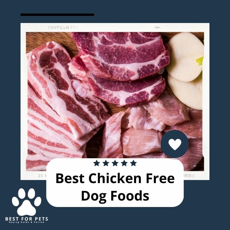Best Chicken Free Dog Foods