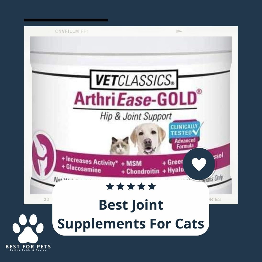LcC9rh4w3-best-joint-supplements-for-cats