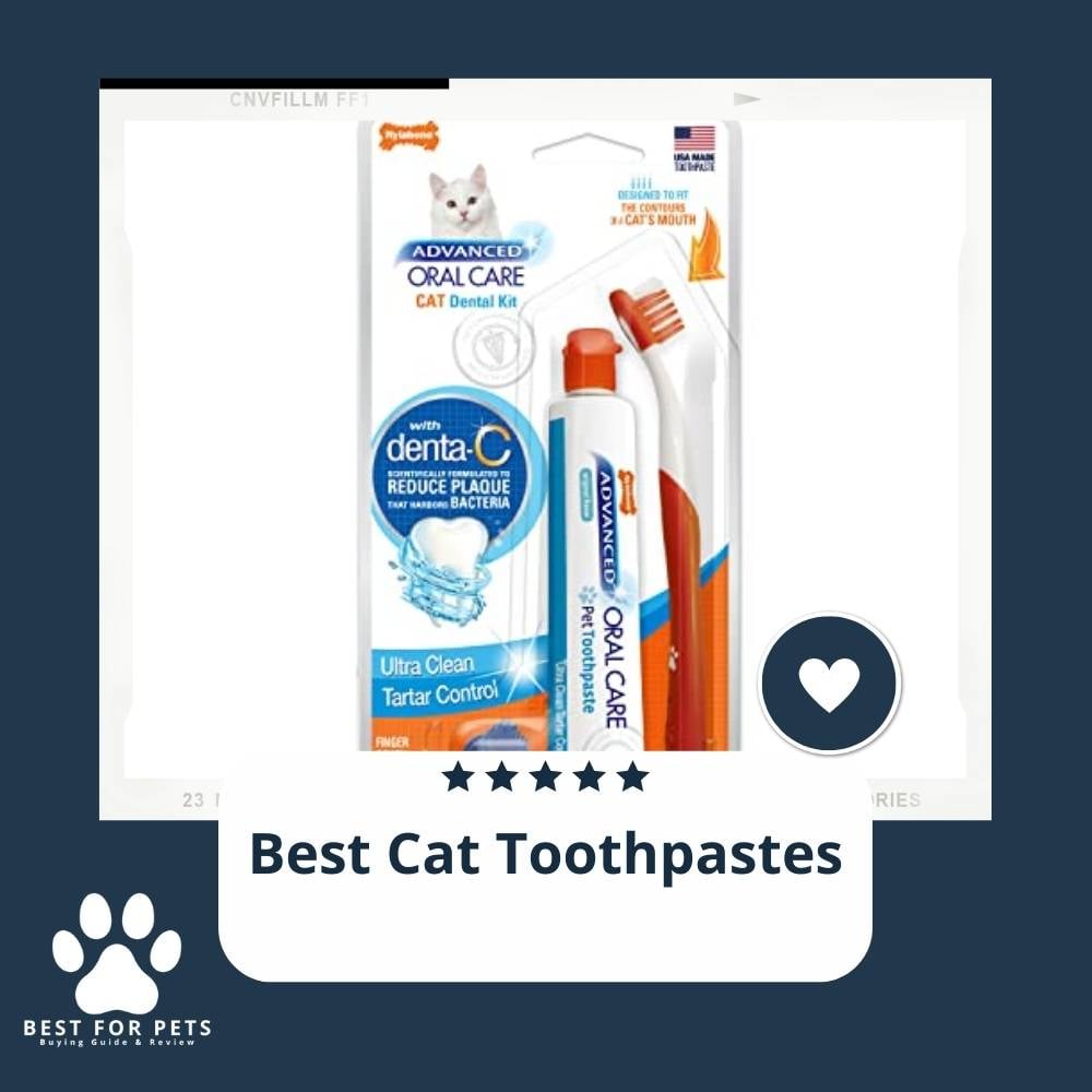 ntDW0Lgsh-best-cat-toothpastes