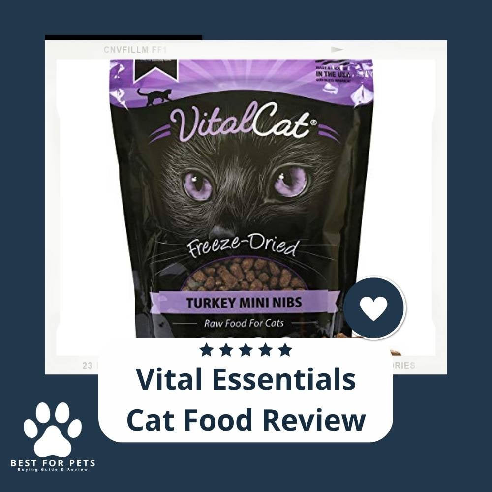 wVCT-DD0W-vital-essentials-cat-food-review