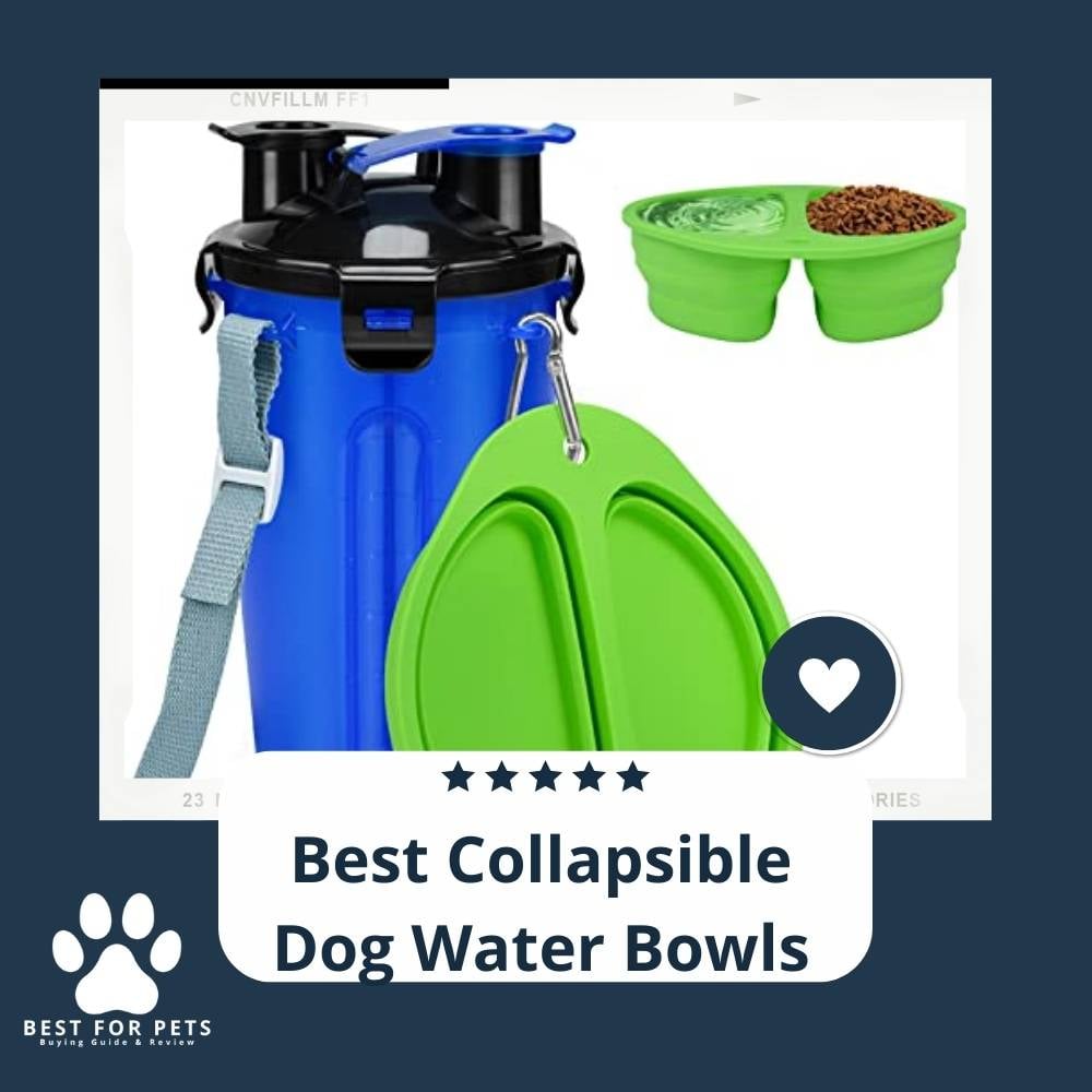 Hv_7Pu4PP-best-collapsible-dog-water-bowls-2