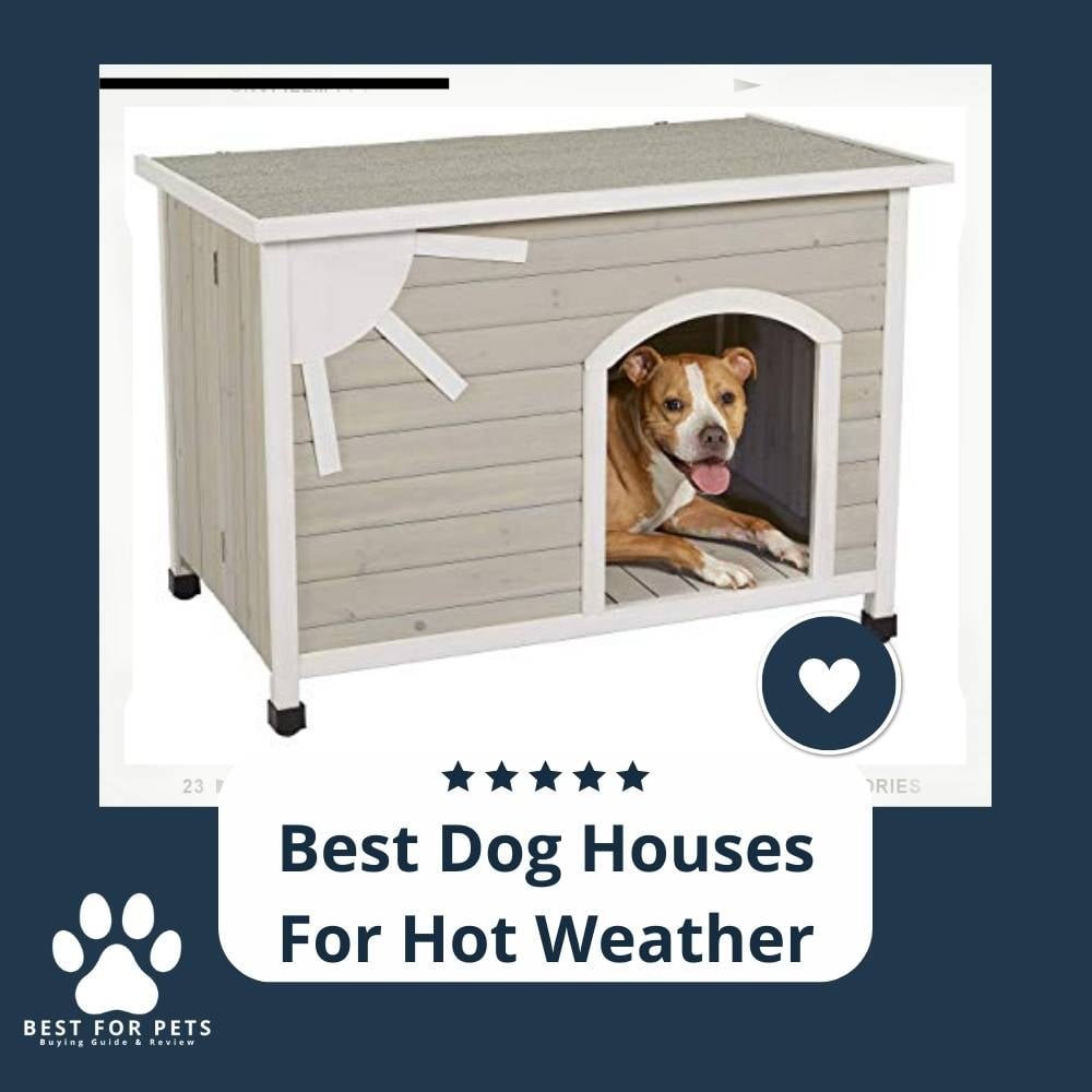 SxcGyj-RO-best-dog-houses-for-hot-weather