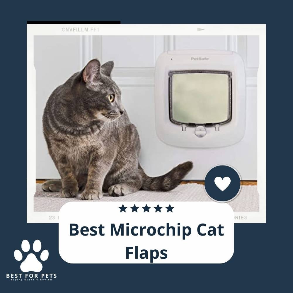VWYMvFcs8-best-microchip-cat-flaps