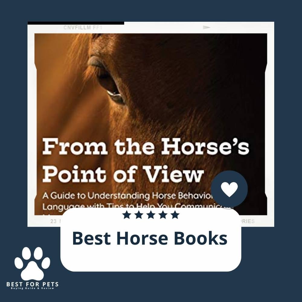 z9Ib9uVkV-best-horse-books