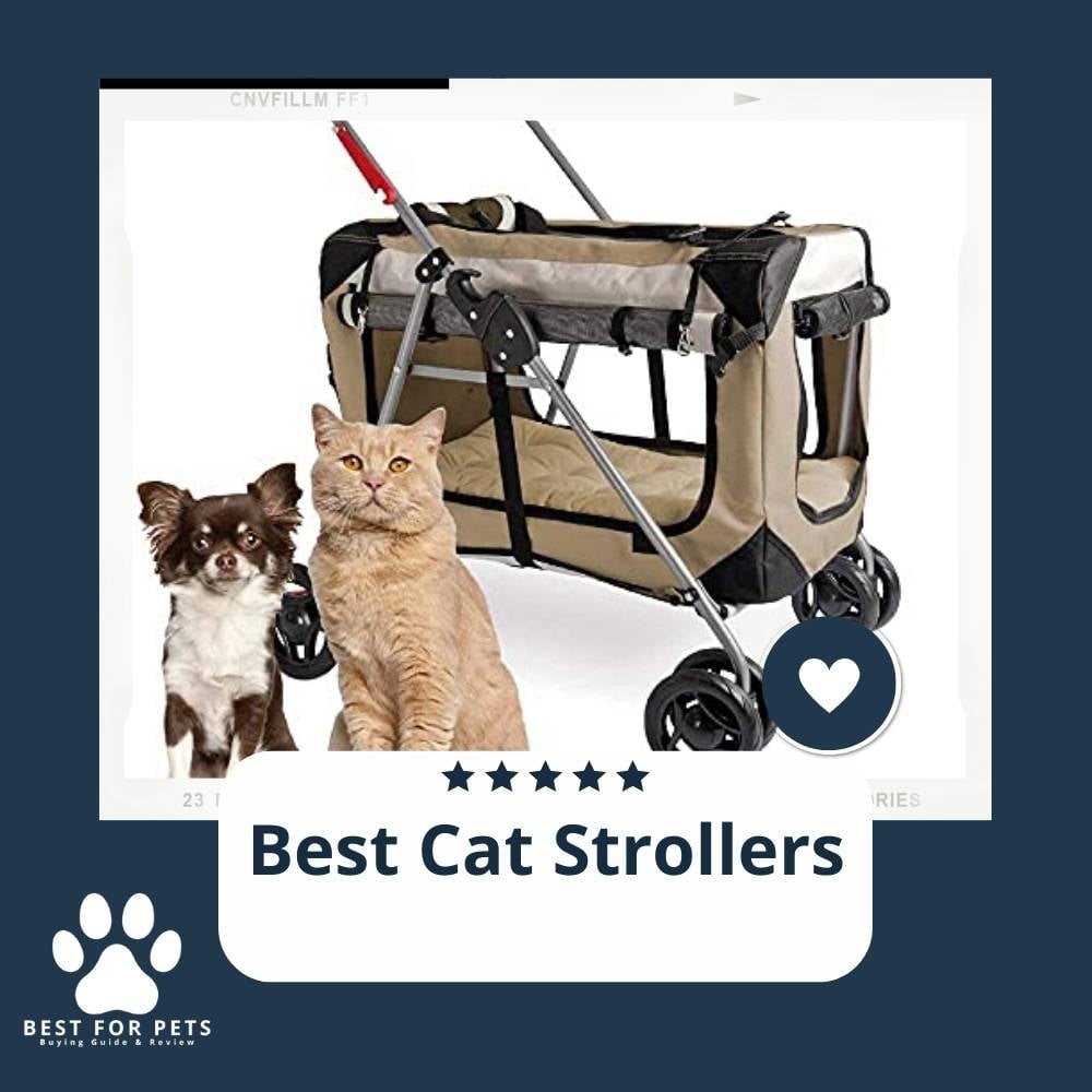 KI7FMQPBB-best-cat-strollers