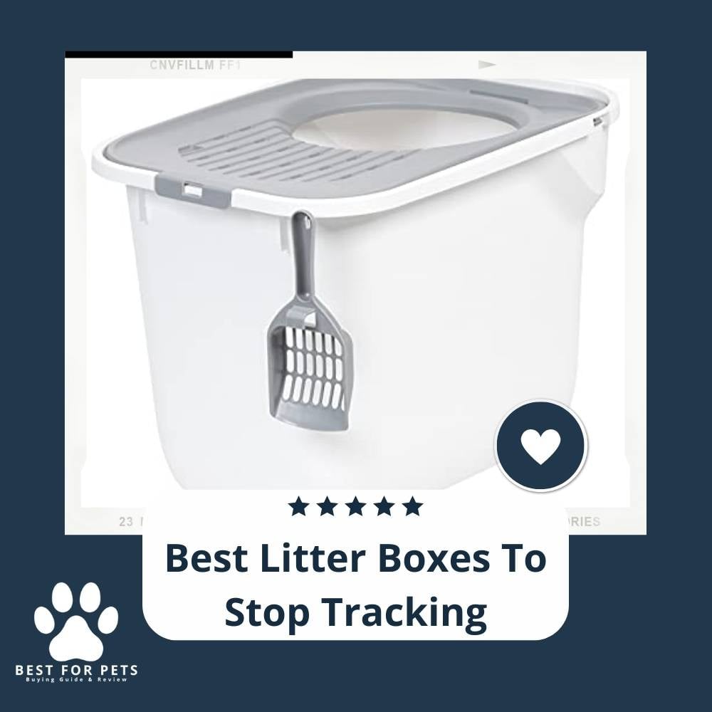 XXjrc0VMP-best-litter-boxes-to-stop-tracking