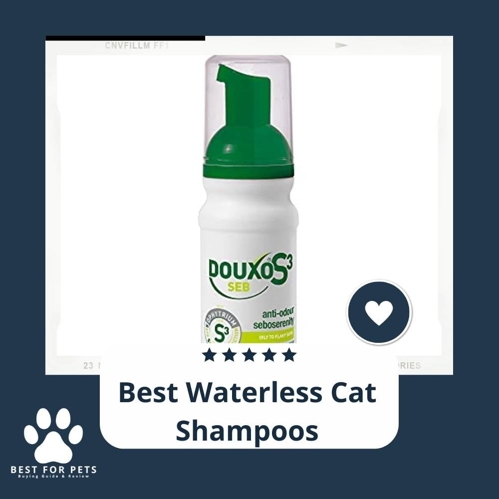 isEA4P10v-best-waterless-dry-cat-shampoos