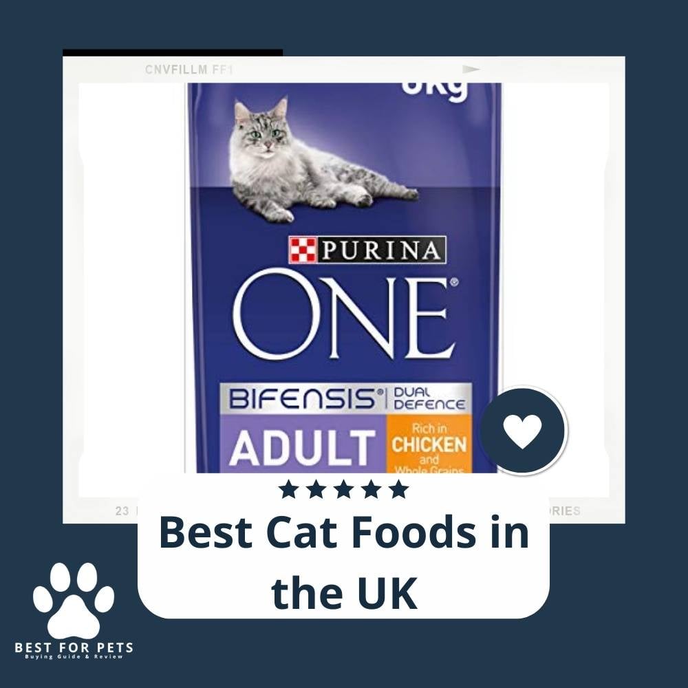 W1Rvw6RXJ-best-cat-foods-in-the-uk
