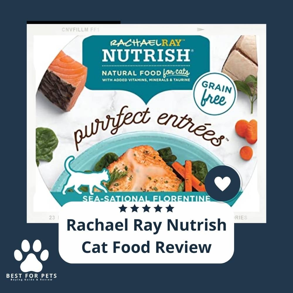 UnK0jvNfC-rachael-ray-nutrish-cat-food-review