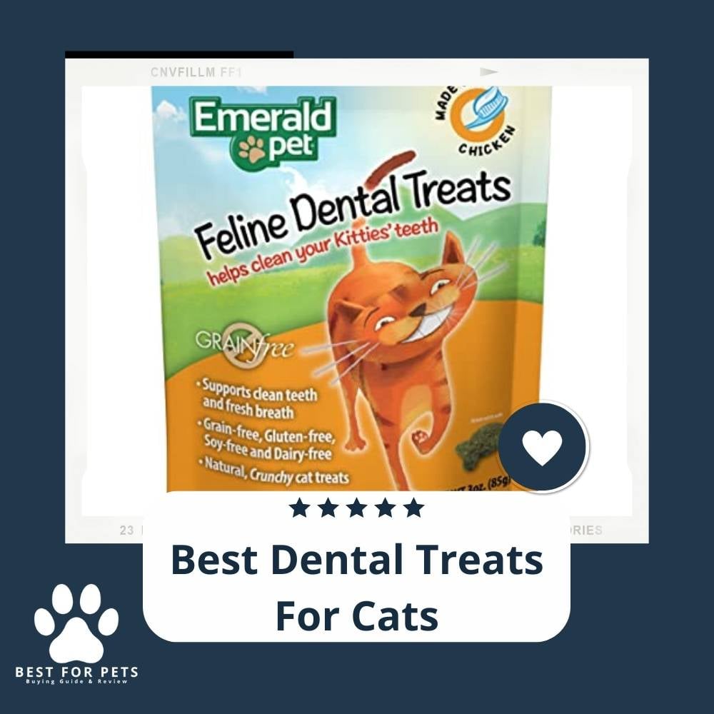 5yhGD4Mp-best-dental-treats-for-cats