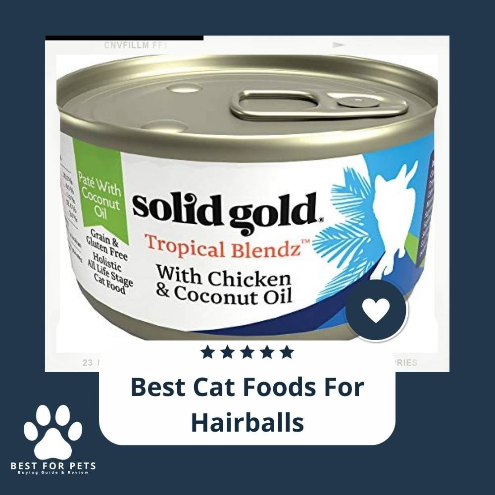 10X2JXPKX-best-cat-foods-for-hairballs