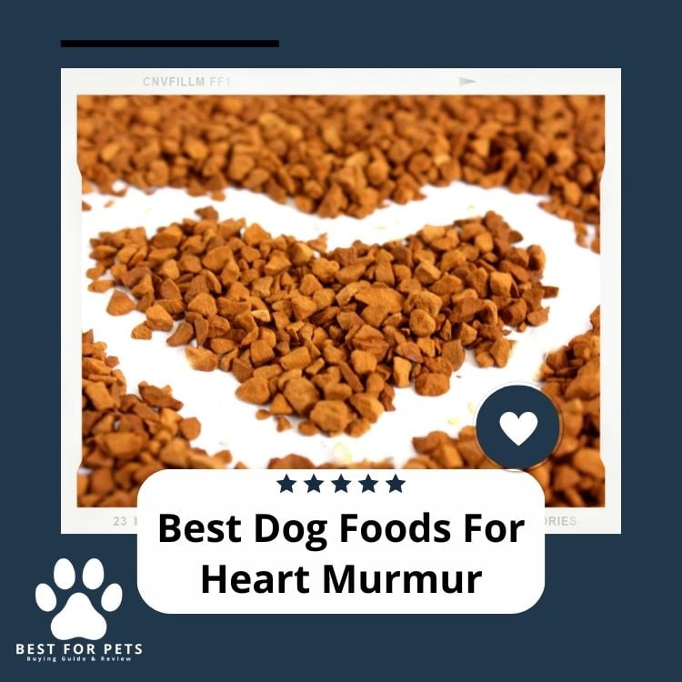 Best Dog Foods For Heart Murmur