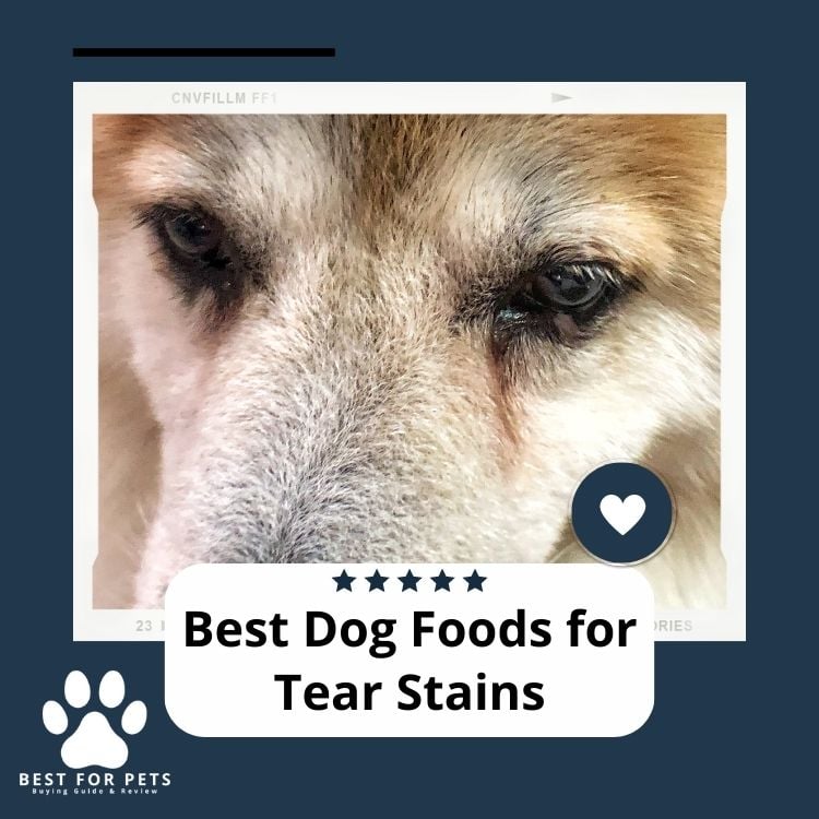 Best Dog Foods For Tear Stains