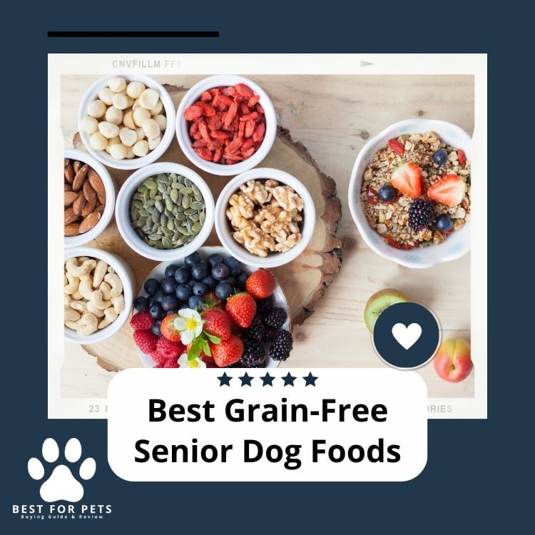 Best Grain-Free Senior Dog Foods