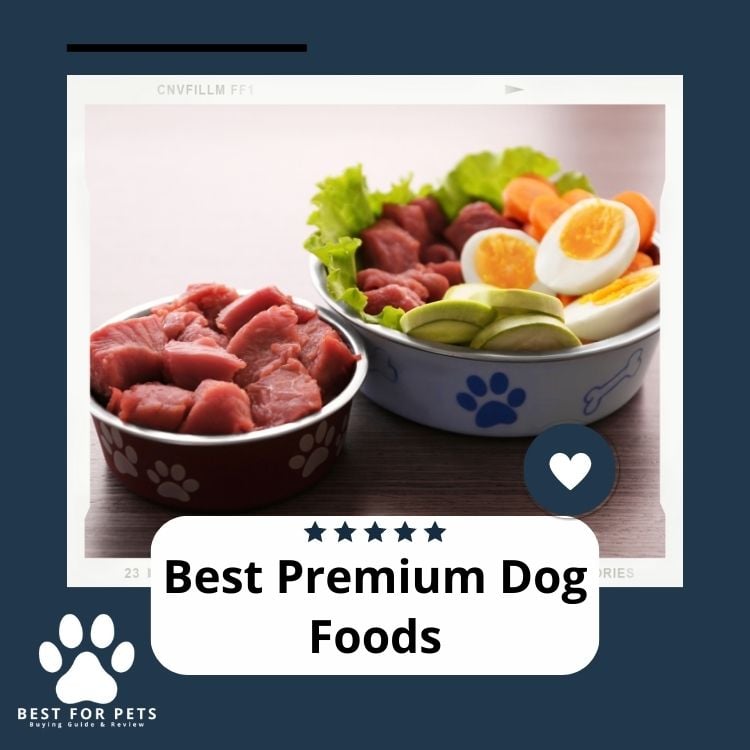 Best Premium Dog Foods