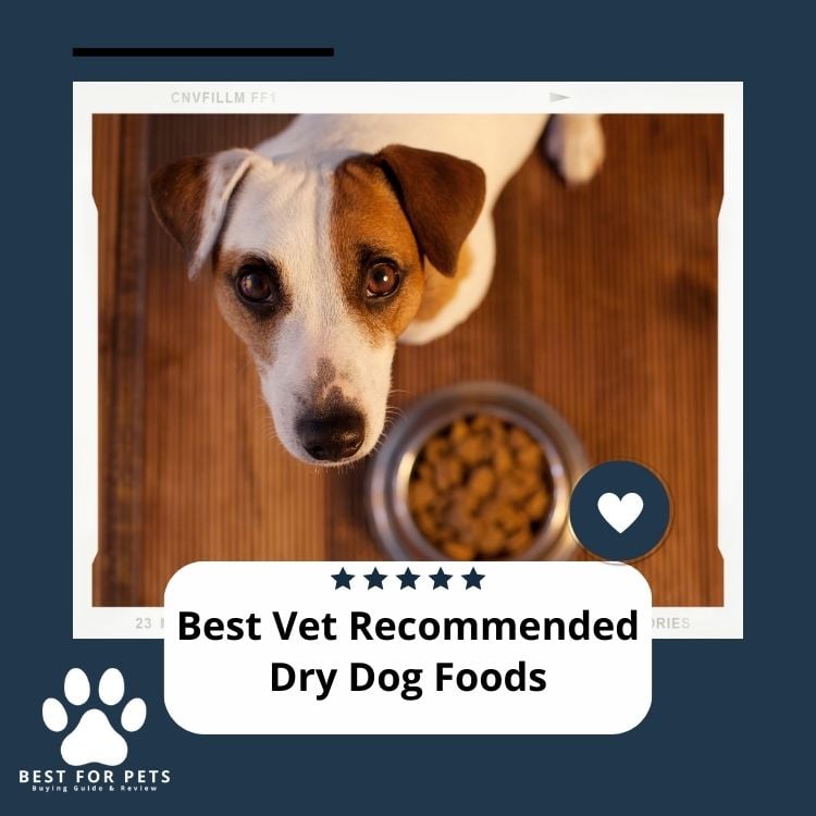 Best Vet Recommended Dry Dog Foods