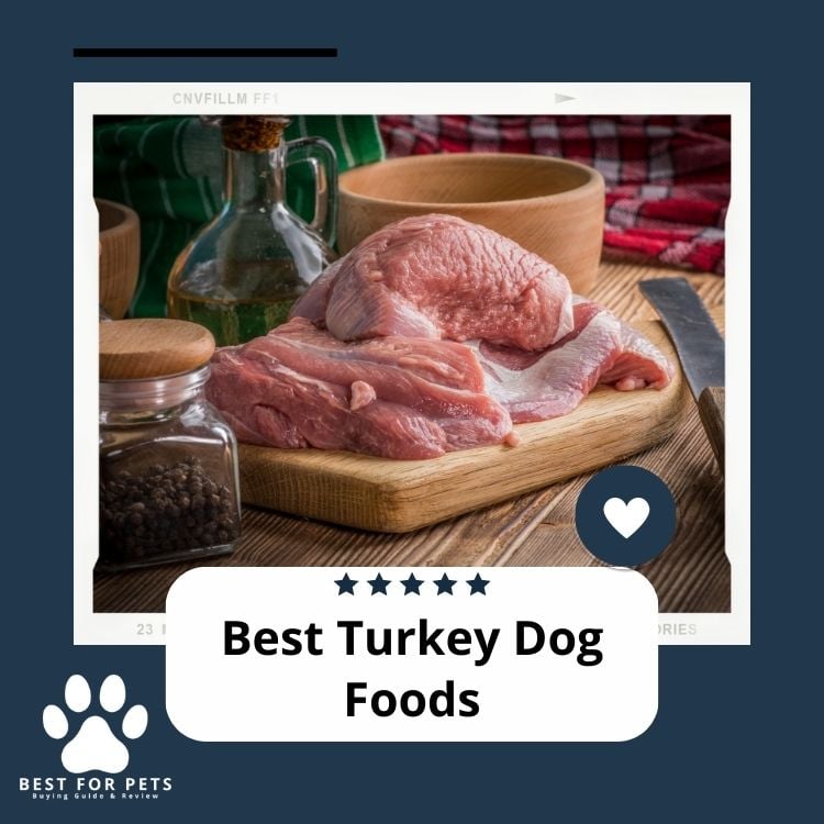 Best Turkey Dog Foods