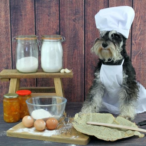 Dog Foods For Miniature Schnauzers