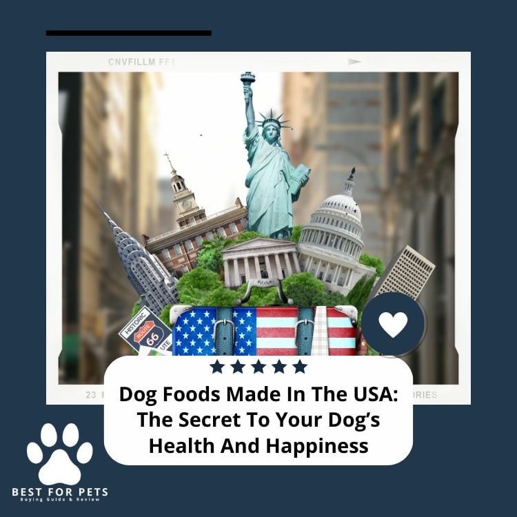 Dog Foods Made In The USA The Secret To Your Dog’s Health And Happiness