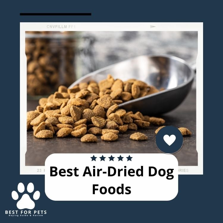 Best Air Dried Dog Foods