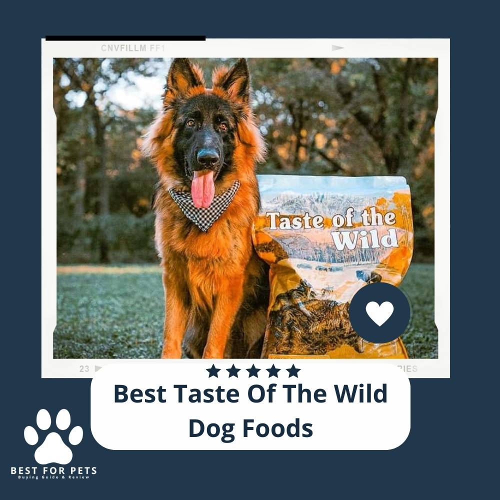 WZydRtJ6E-best-taste-of-the-wild-dog-foods