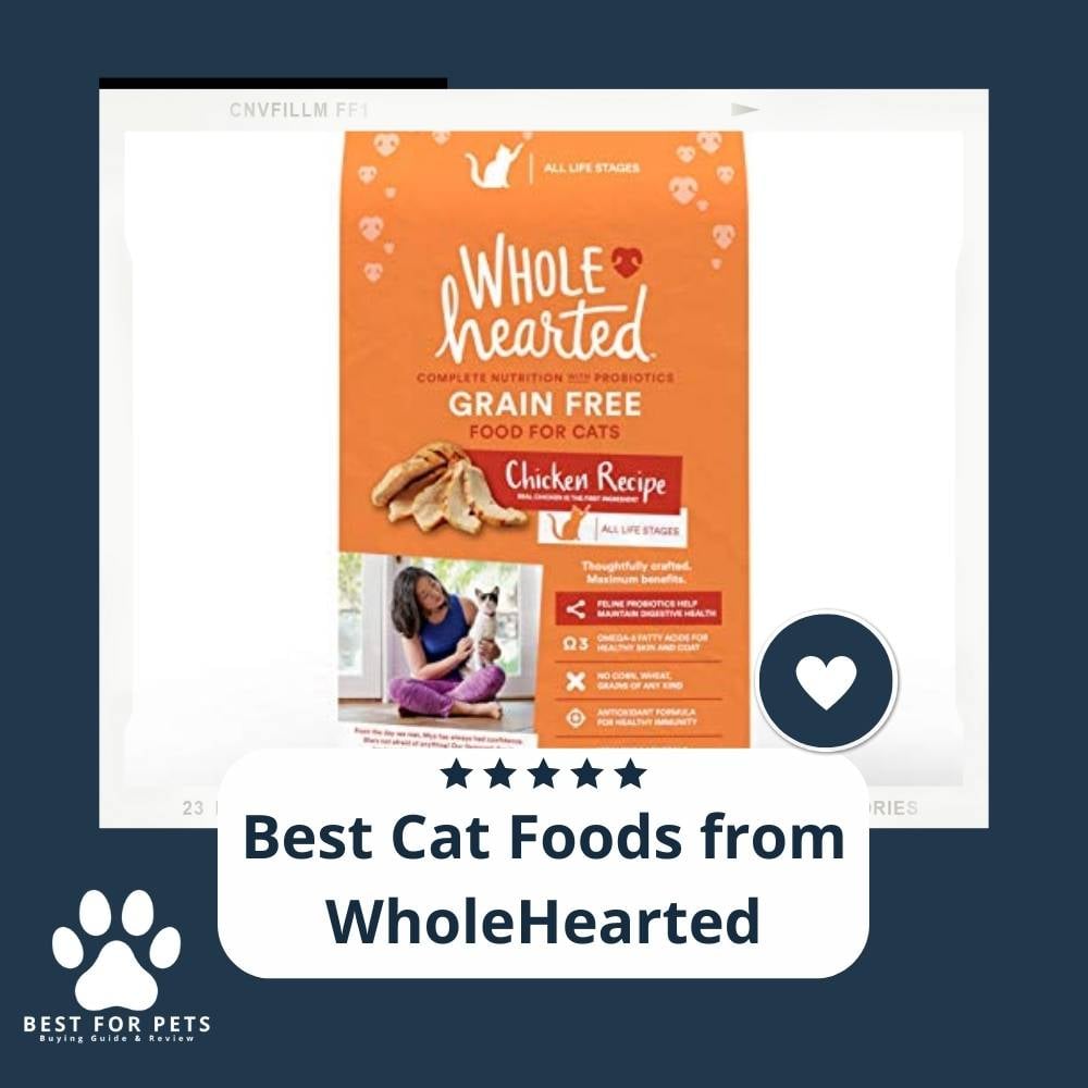 X5qGDCtzq-best-cat-foods-from-wholehearted