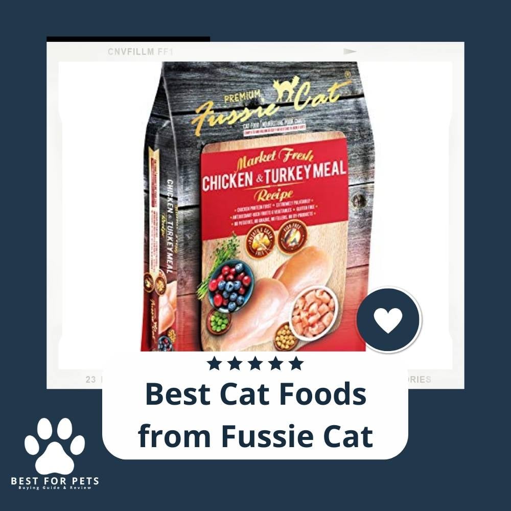 MVv5hXEJf-best-cat-foods-from-fussie-cat