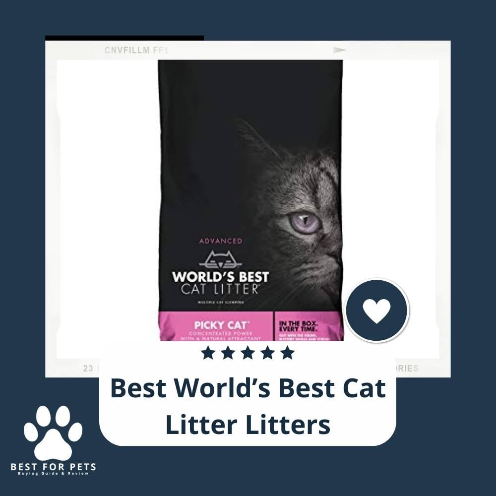 iQyPPW-uV-best-worlds-best-cat-litter-litters