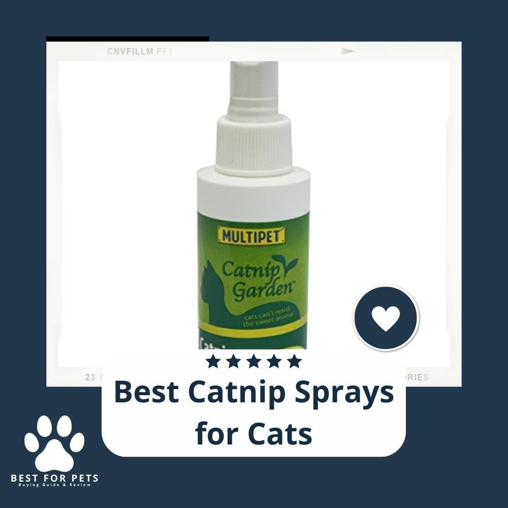 aX-7Zvakw-best-catnip-sprays-for-cats