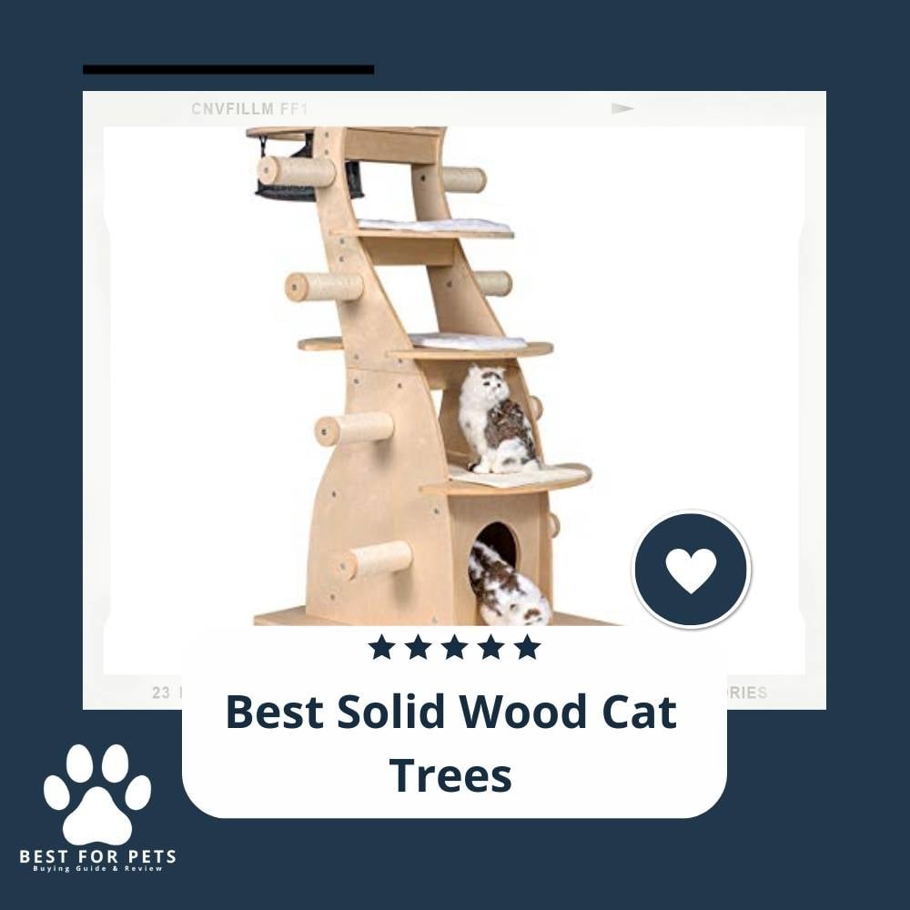 0BcA2Fjvk-best-solid-wood-cat-trees